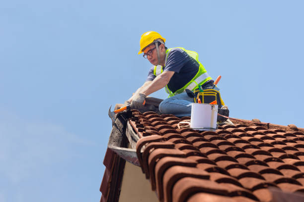 Best Roof Maintenance and Cleaning  in Wills Point, TX